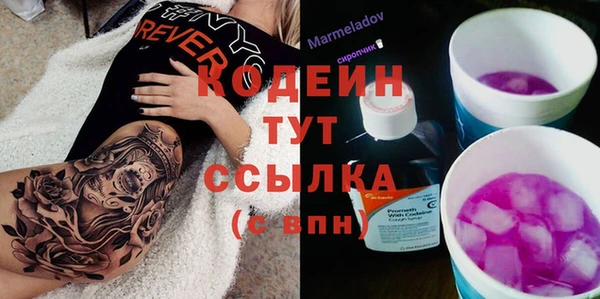 тгк Нея