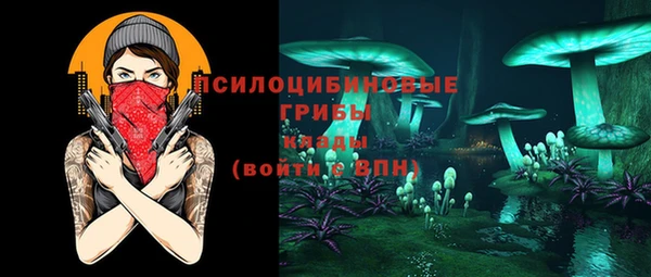 тгк Нея