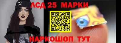 гидропоника Кингисепп