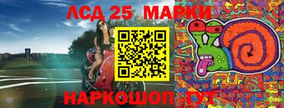 амф Кимры