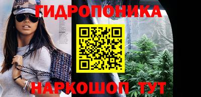 амф Кимры